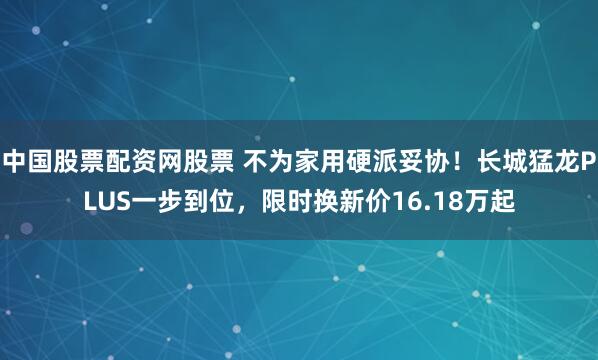 中国股票配资网股票 不为家用硬派妥协！长城猛龙PLUS一步到位，限时换新价16.18万起